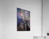 Moon Acrylic Print