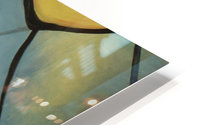 Liberata    HD Metal print
