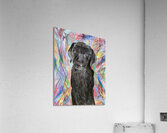 Ami espoir Acrylic Print