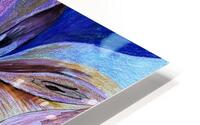 Aventure HD Metal print