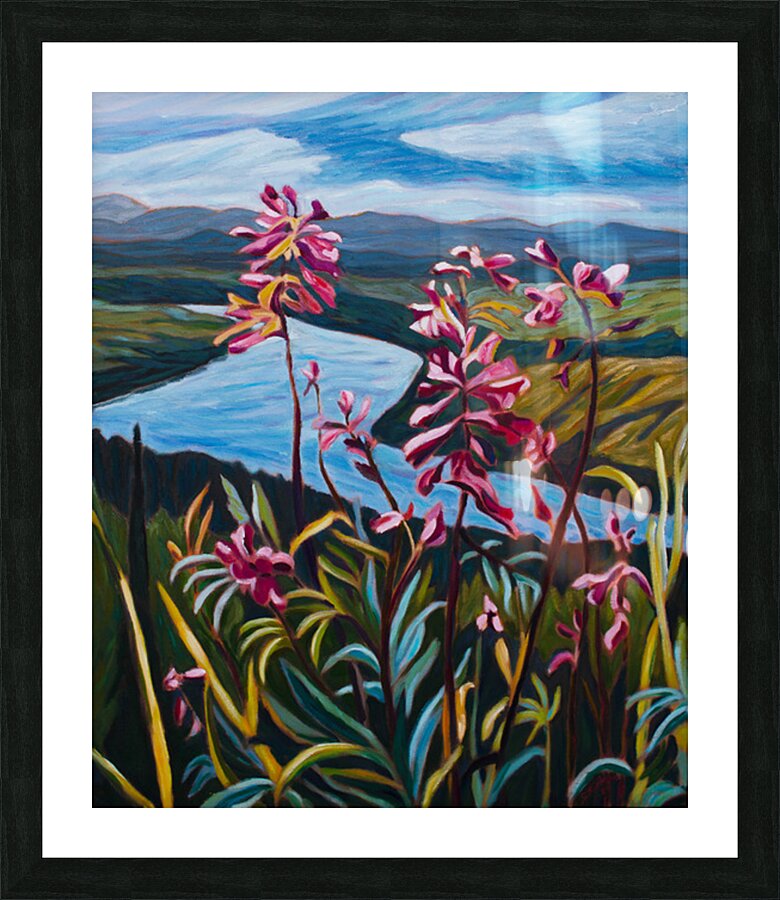Yukon Magenta Picture Frame print