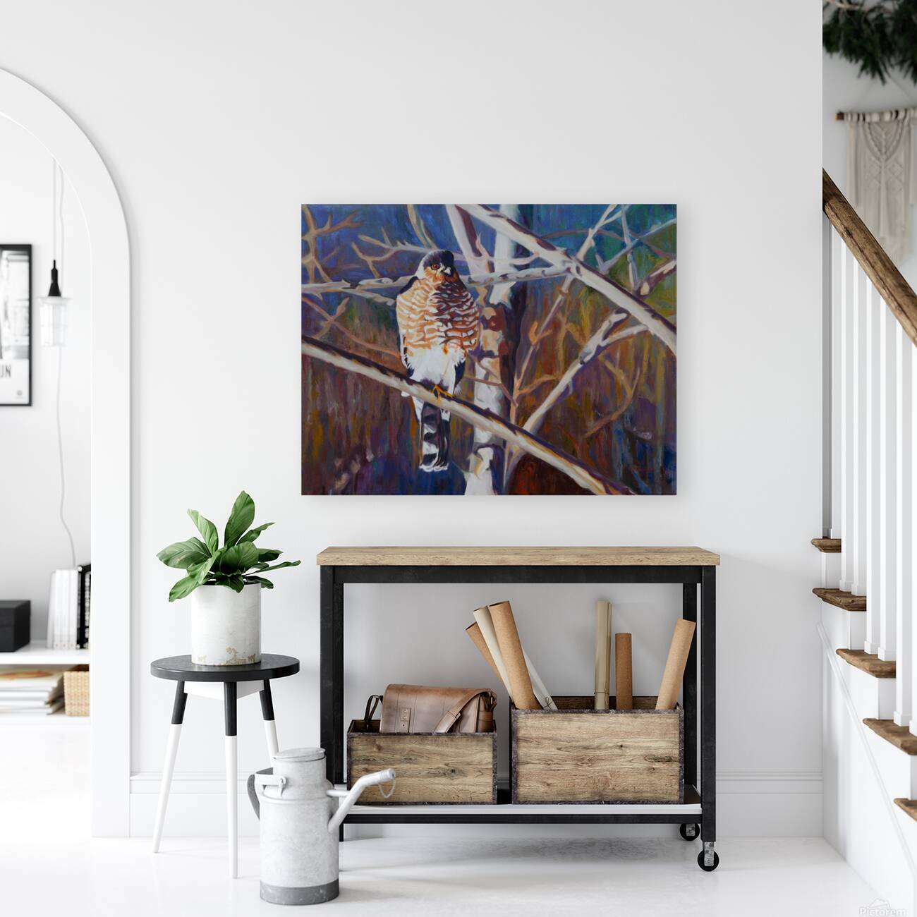 Coopers Hawk Reproduction