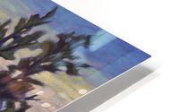 Thompson River Summer HD Metal print