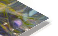 Bee Cosmos HD Metal print