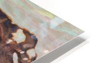 Glacier Movements  HD Metal print
