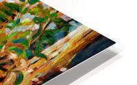 Swan Lake  HD Metal print