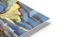 Shandilla View HD Metal print
