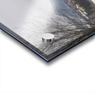 A better view Acrylic print