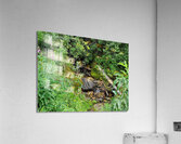 Quiet trickle Acrylic Print