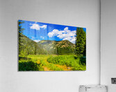 Peaceful trail Acrylic Print