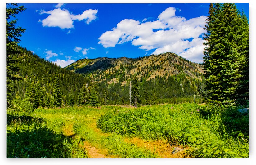 Peaceful trail by Dustin Rogers