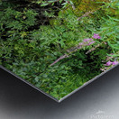 Quiet trickle Metal print