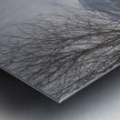 A better view Metal print