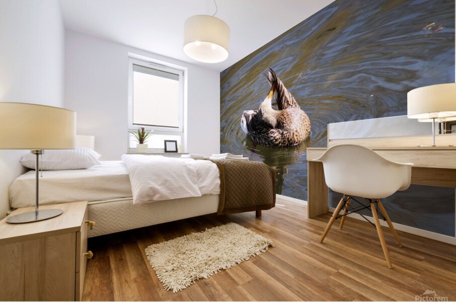 Acrobatics Mural print