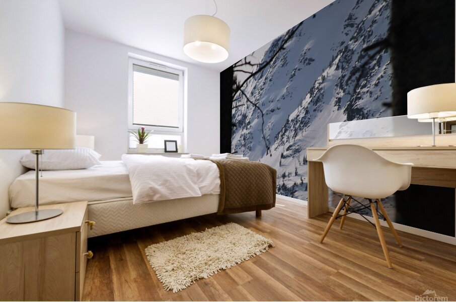 Shadowed Mountain Mural print