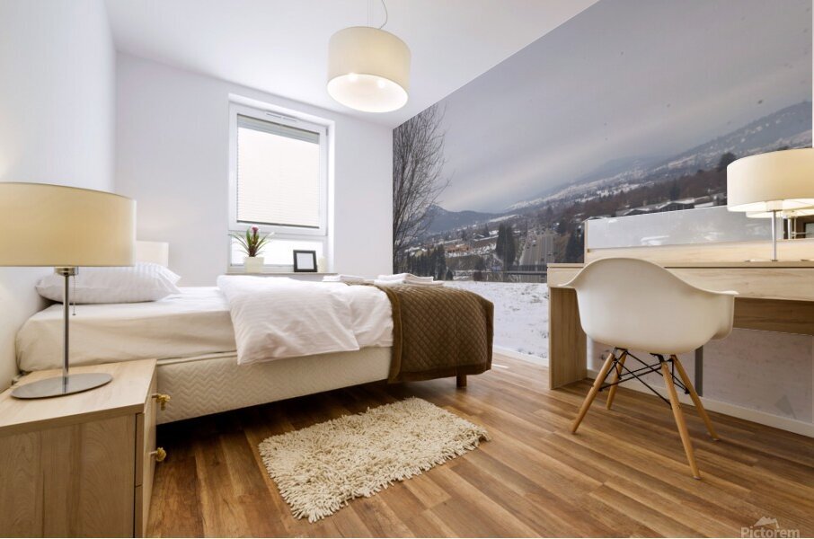 A better view Mural print