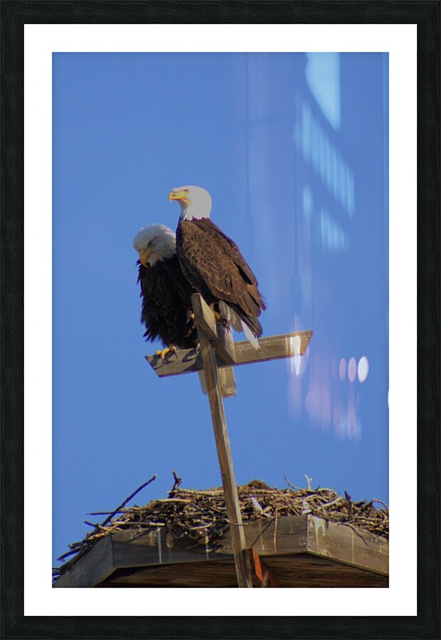 Were a pair Picture Frame print