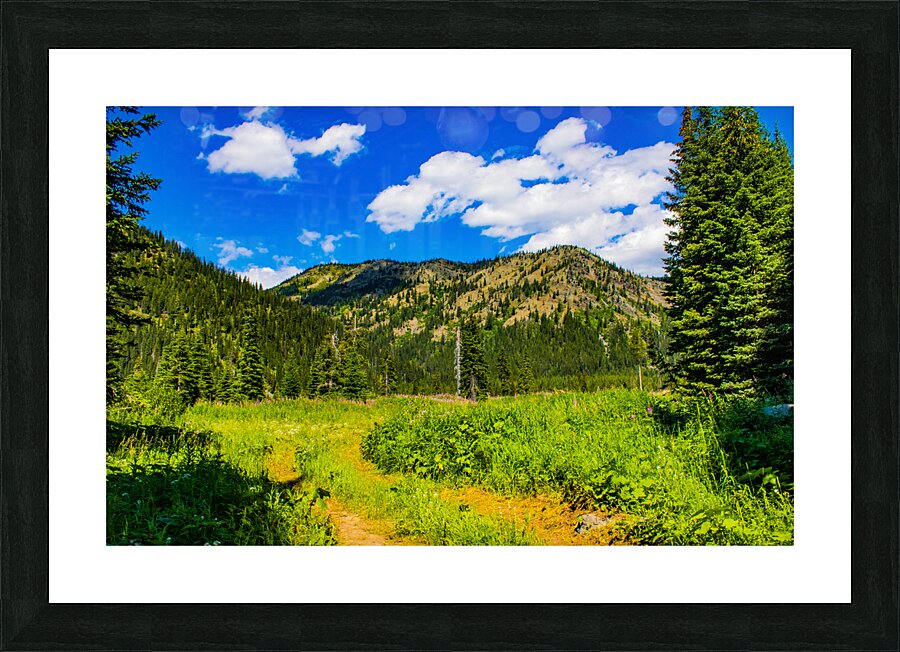 Peaceful trail Picture Frame print