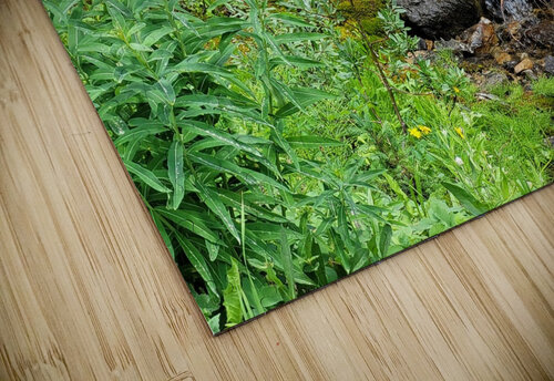 Quiet trickle Dustin Rogers puzzle