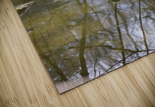 Swimming together Dustin Rogers puzzle