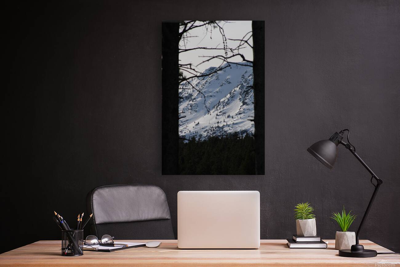 Shadowed Mountain Reproduction