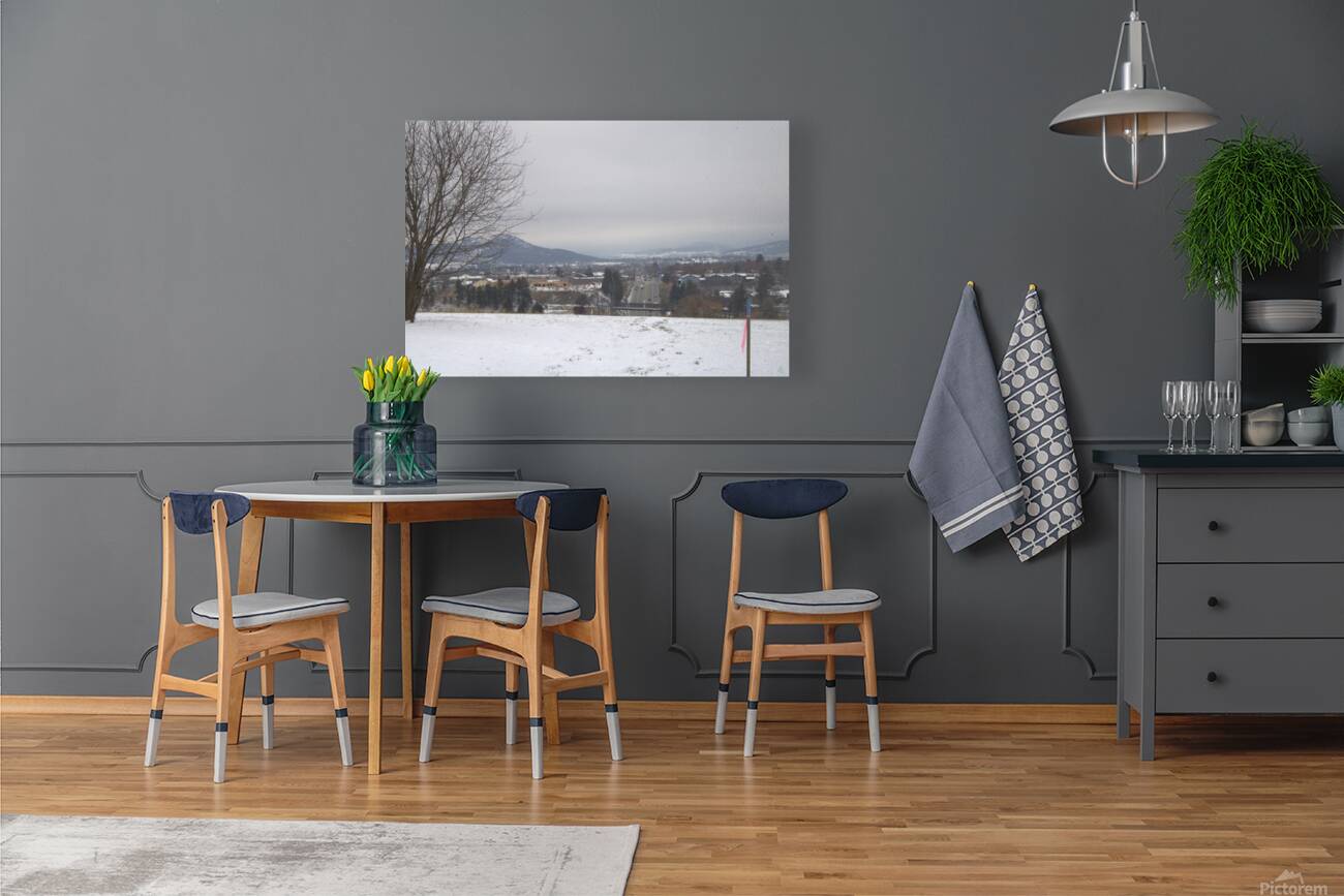 A better view Reproduction