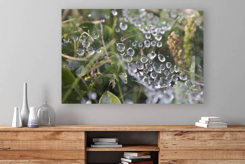 Webbed droplets by Dustin Rogers