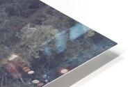 3 deer HD Metal print