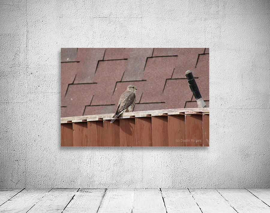 I pose for you Wall Preview