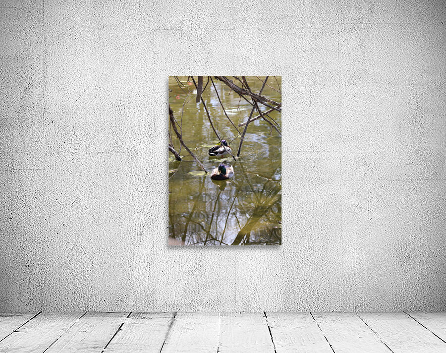 Swimming together Wall Preview