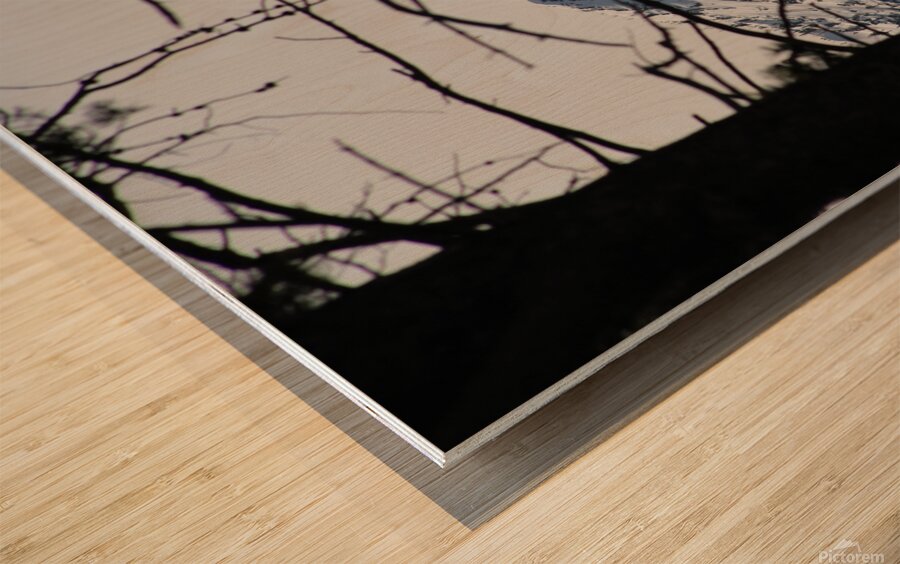 Shadowed Mountain Wood print