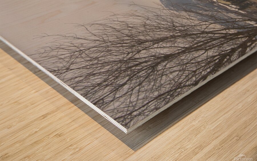 A better view Wood print