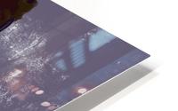 Modern Bound HD Metal print