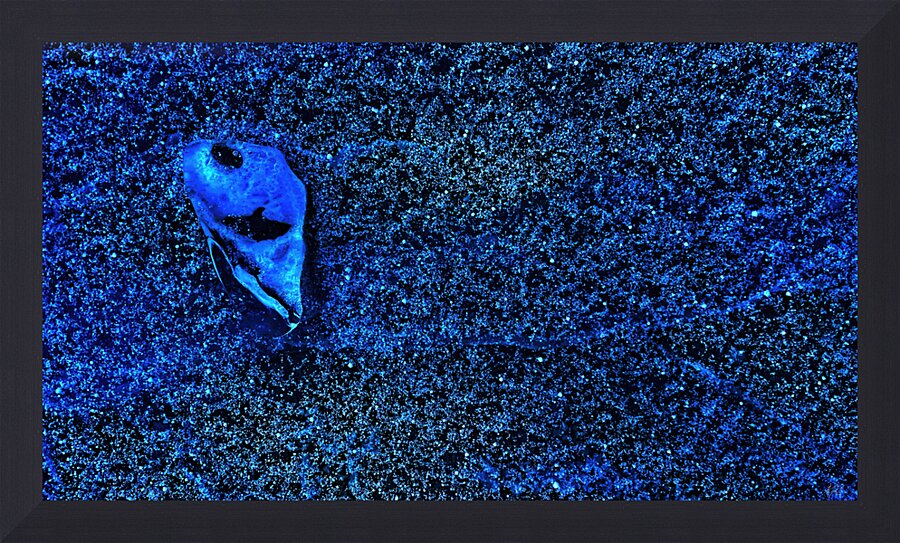  Fine Art print