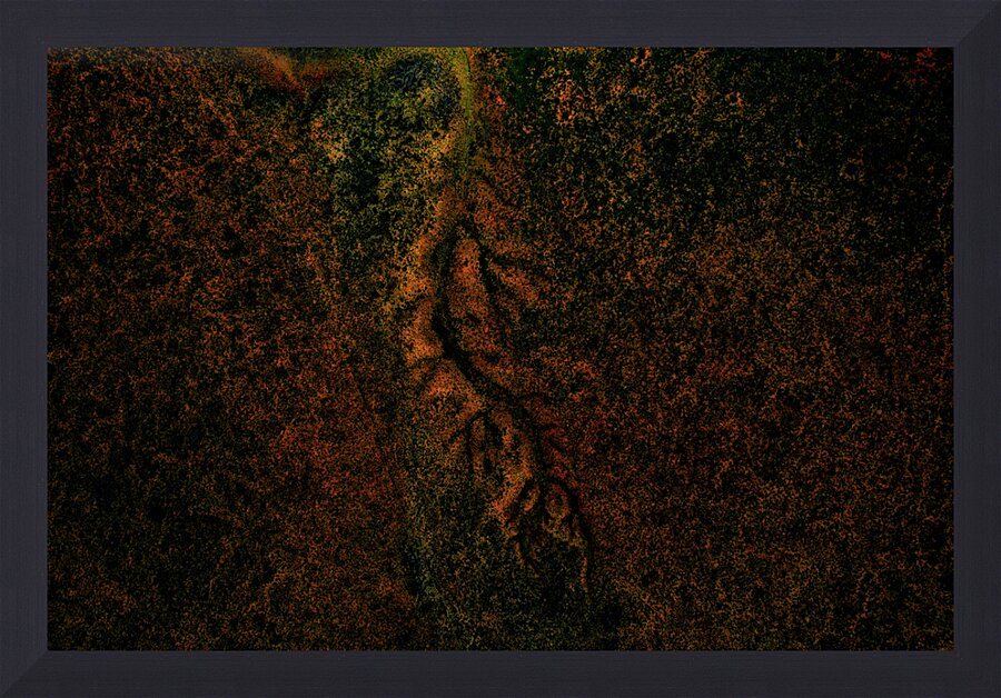  Fine Art print