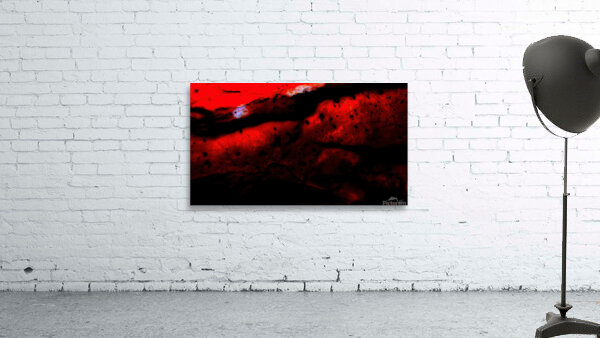 Wink Wall Preview