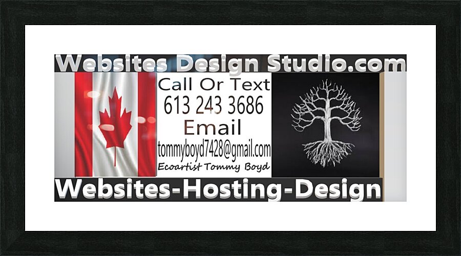websitesdesignstudio.com Picture Frame print