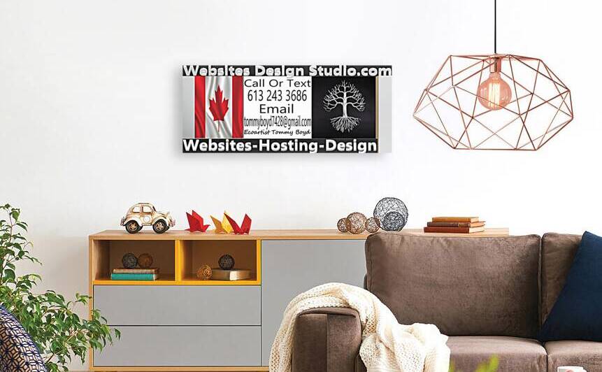 websitesdesignstudio.com by ecoartisttommyboyd