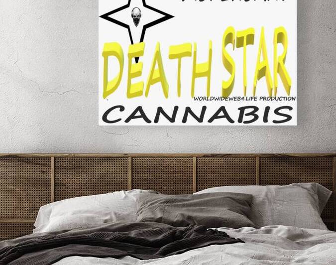 DEATH STAR 2 by ecoartisttommyboyd