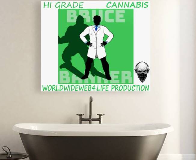 BRUCE BANNER by ecoartisttommyboyd