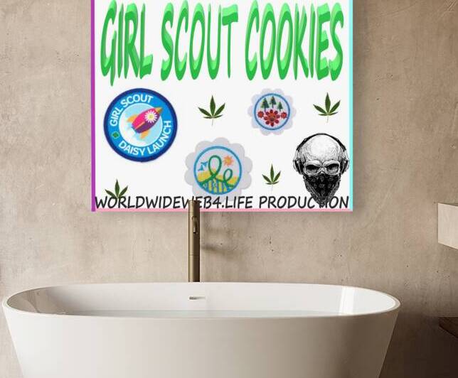 GIRL SCOUT COOKIES by ecoartisttommyboyd