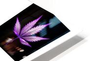 OG KUSH HD Metal print