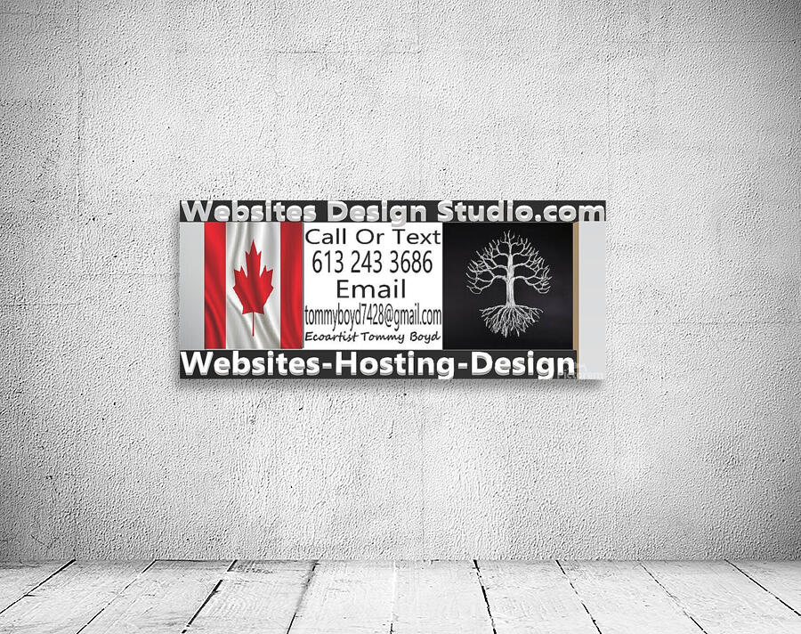 websitesdesignstudio.com Wall Preview