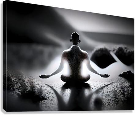 Zen Moment 12 Canvas Print