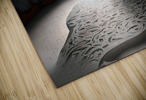 Shadowed Realities 05 Mana Visual Art puzzle
