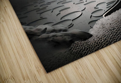 Shadowed Realities 08 Mana Visual Art puzzle