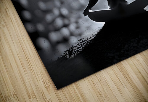 Zen Moment 05 Mana Visual Art puzzle