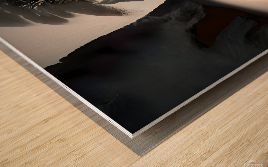 Shadowed Realities 05 Wood print