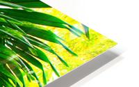 Waterfall HD Metal print