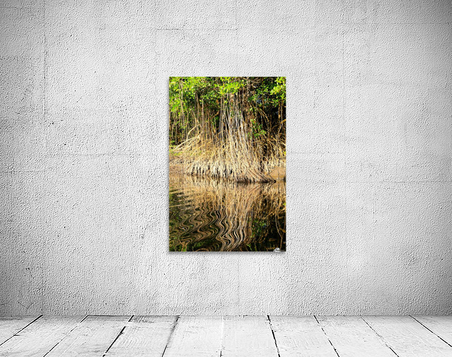 Mangrove roots Wall Preview